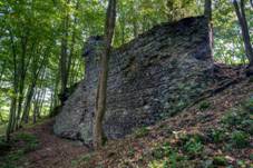 Stara duba sv zed s 2 branou a zaveru kaple.jpg