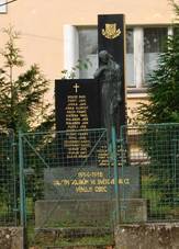 Mlad Smolivec - (2).JPG