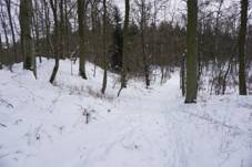 Hradit Boze (leden 2021) (5).jpg