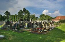H�bitov, Molenburk, Vyso�any, okres Blansko.jpg