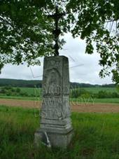 1000146342 - litinov k