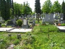 Doln� Kounice, h�bitov (1).JPG
