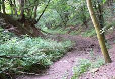 Rybikov skla (2).jpg