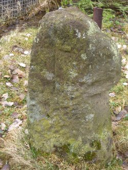 http://www.suehnekreuz.de/tschech/m-schles/pic/NEUDFL2.jpg