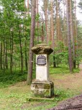 K u Sosnov v lese na rozcest (Q80438833).jpg