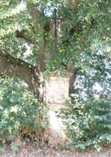 K u silnice u Radvaneckho rybnka (Q80438123) 04.jpg