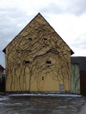 esk Vrbn, spka u p 1905.JPG