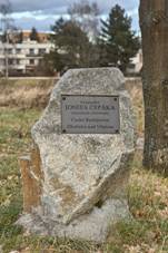 Pamtn kmen Josefa Cepka 01 (crop).jpg