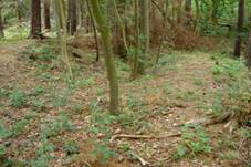 Hrad Ostrolovsk jezd - vchodn st jdra.jpg