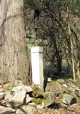 OÅ™echovka (ŒernÃ¡ v PoÅ¡umavÃ) (05).jpg