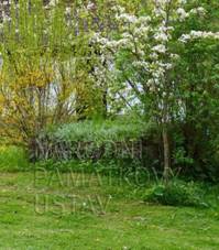 vÃ½klenkovÃ¡ kaple