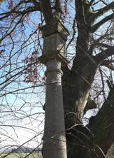 Bo muka, Nov Ves (01).jpg