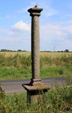Tebe, protected column.jpg
