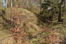 Hausberk 2017-04-14 3 Druh pkop.jpg