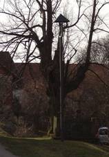 Chuchel - p. 7 a kek se zvonikou.JPG