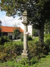 1000130049 - bo muka