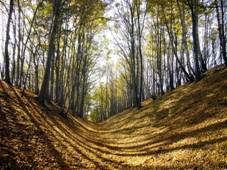 ESK LHOTICE-VALY1.JPG