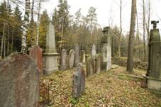 Gravestones at Jewish Cemetery in Devkov, Chrudim District 07.JPG
