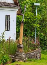 Zub u Trhov Kamenice p. 3.jpg