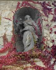 Na obrÃ¡zku mÅ¯Å¾e bÃ½t: rostlina a venku