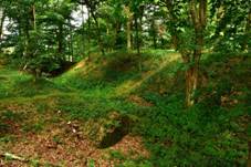 Ruchomperk 2012 - jin strana pedhrad.jpg