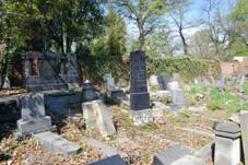 idovsk hbitov v Blin, 2012-04, 01.JPG