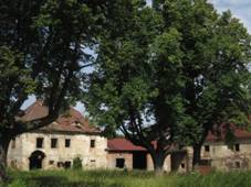 ernousy - bval zmek (10) .JPG