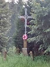 Kek u lesa nad Krtkou Vs 02.jpg