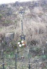 Kek a ohrdka u silnice do Petrkova.jpg