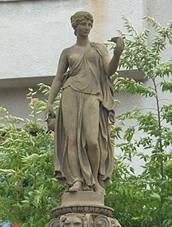 Kasna hebe Polna.JPG