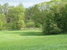 Pohled za eku Szavu pod Hadrburgem.JPG