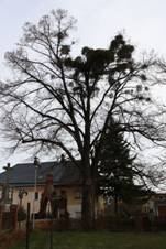 Kravae (OP), pamtn lpa u fary (1).JPG