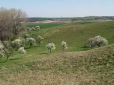 Brzke jaro - spidlaky - prirodni rezervace - 08.jpg