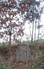 K zpadn od Bozde (Q66056059).jpg