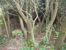 K v kov jin od Drahotna (Q66057314).jpg