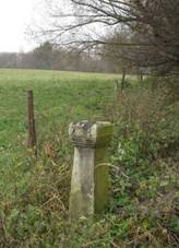 K zpadn od Drahotna u pole (Q66056078).jpg