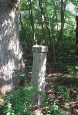 K u cesty nad Hvoany (Q66057215) 01.jpg