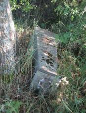 K severovchodn od Mkova (Q66052424).jpg