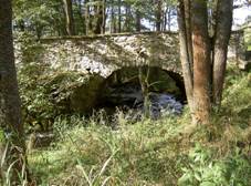 Kamenn most pes Radbuzu