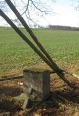 K v poli severn od Mrchojed (Q66056364).jpg