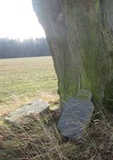 K vchodn od Mrchojed v poli (Q66056368).jpg