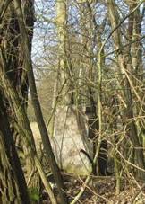 K jin od Nmic (Q66056354).jpg