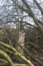 K u Nmic (Q66056353).jpg