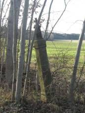 K u Nmic u silnice (Q66056352).jpg