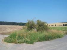 Bo muka u Otova (Q38044853).jpg