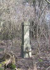 K zpadn od Tebnic pod vrchem Chlum (Q66056358).jpg