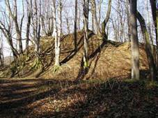 124491 - vinn opevnn sdlit a hrad Svrov