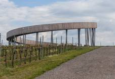 Rozhledna Stezka nad vinohrady na Kobylm vrchu