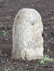 Opatovice - smr kmen 2 obr1.jpg