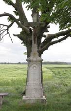 Psnotice - k JZ od obce.jpg